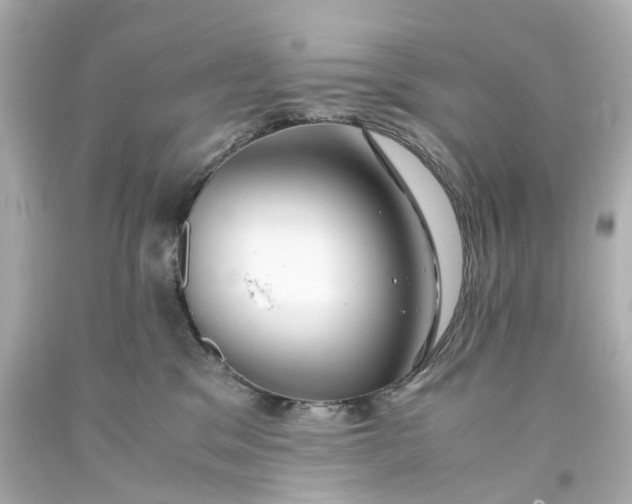 X0000093570329200710291046