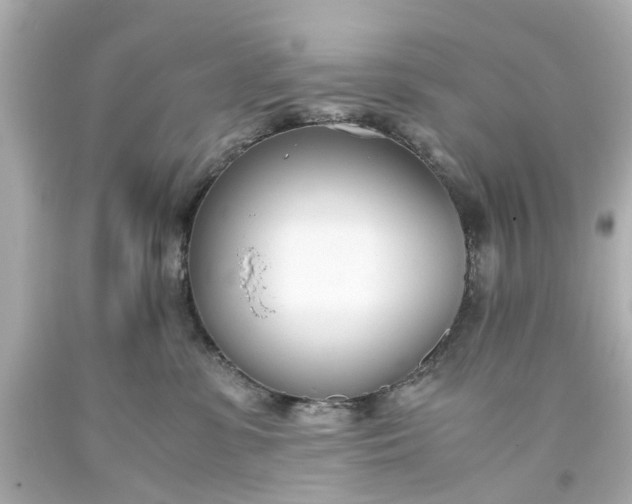 X0000093570331200710291046