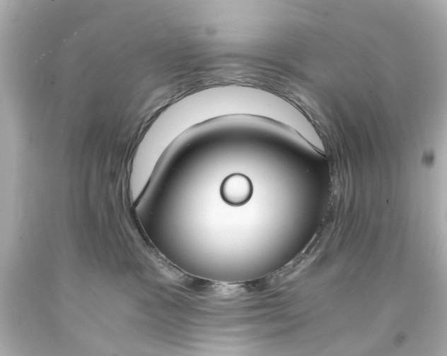 X0000093570333200710291046