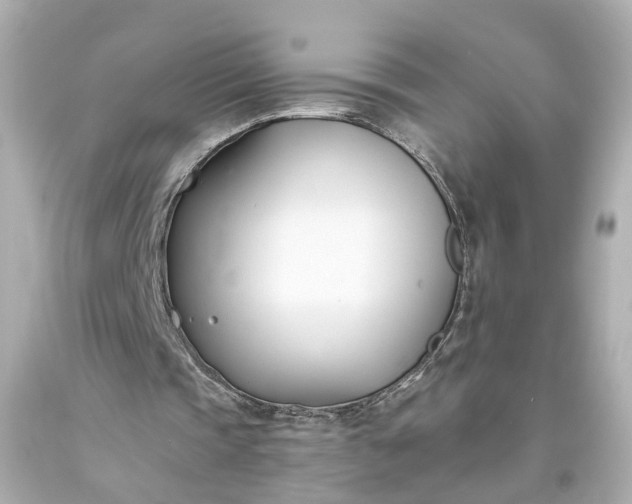 X0000093570337200710291045