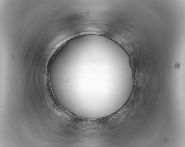 X0000093570338200710291045