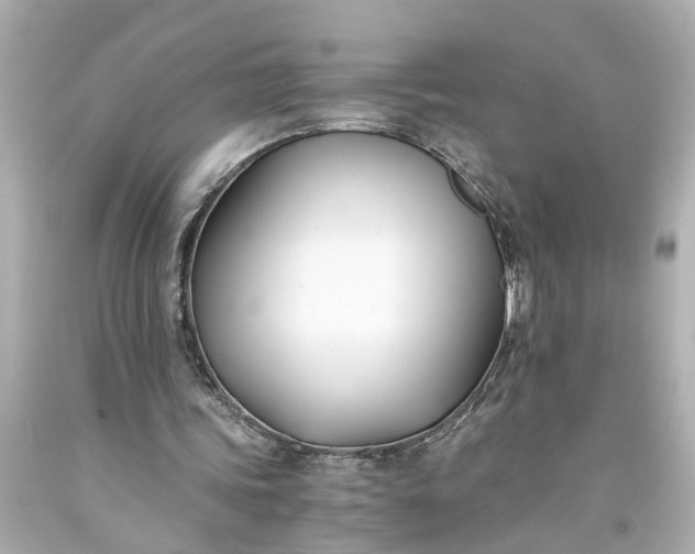X0000093570339200710291045