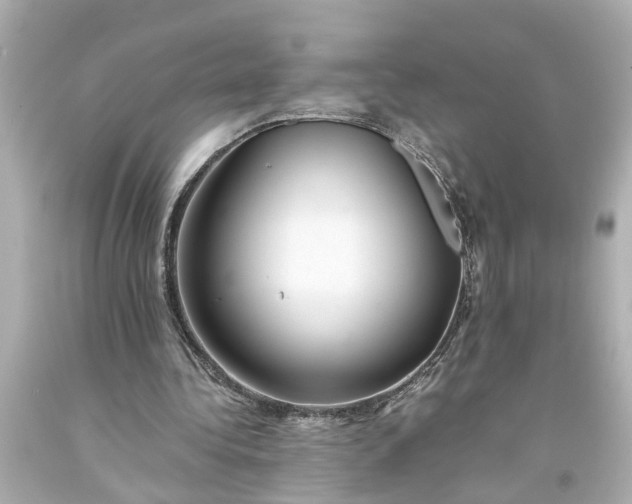 X0000093570340200710291045