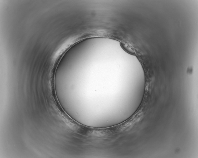 X0000093570341200710291045