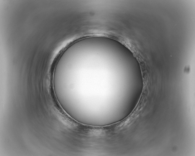 X0000093570342200710291045