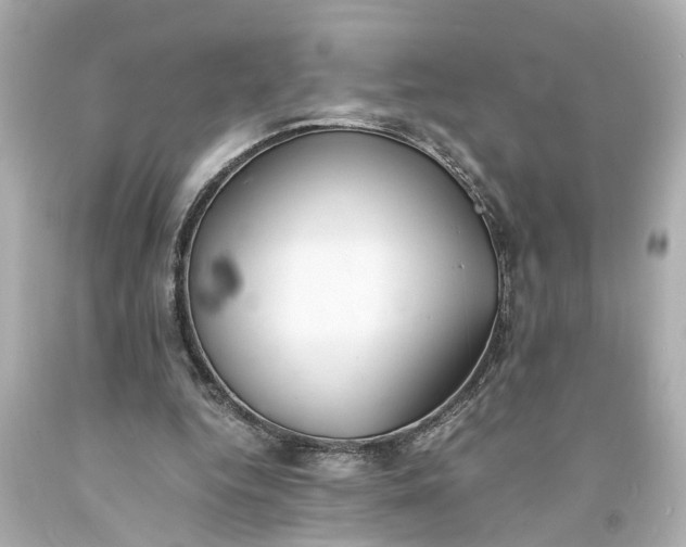 X0000093570344200710291045