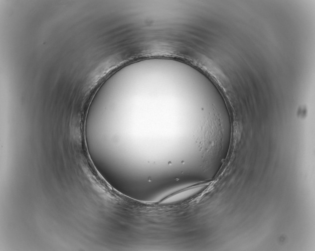 X0000093570345200710291045