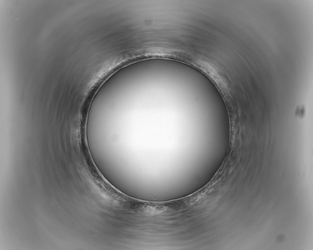 X0000093570346200710291045