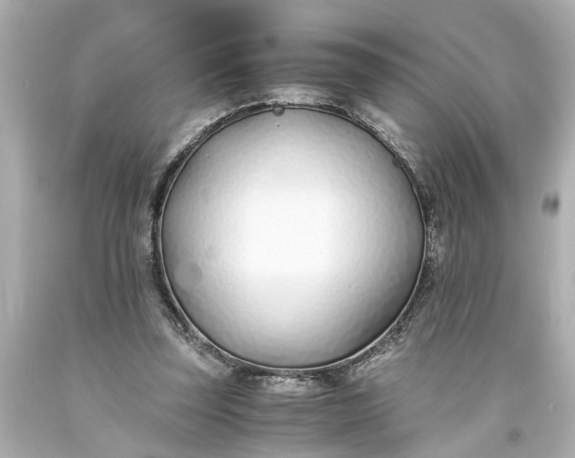 X0000093570347200710291045
