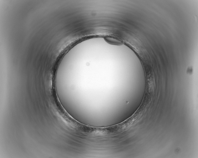 X0000093570350200710291045