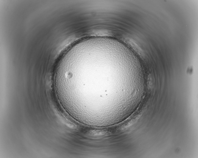 X0000093570351200710291045