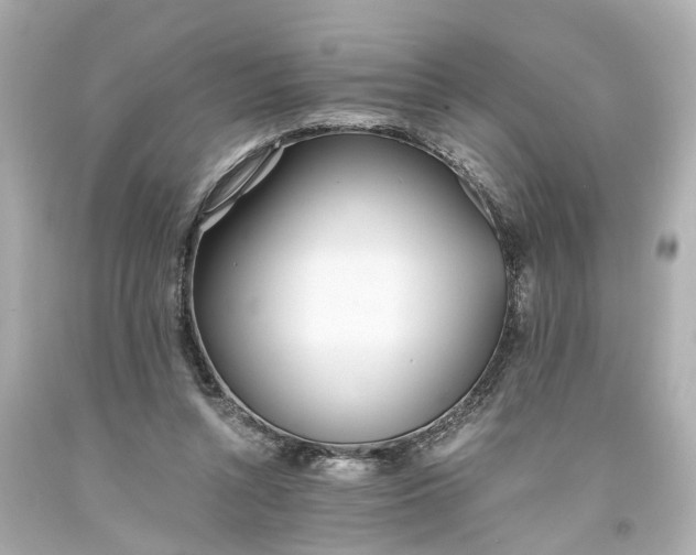 X0000093570352200710291045
