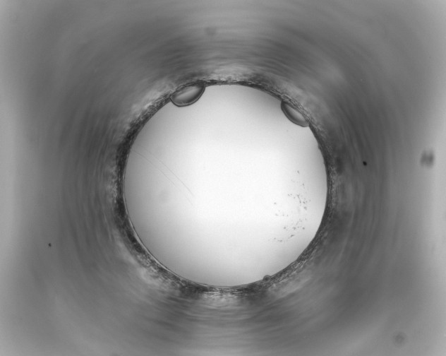 X0000093570354200710291045