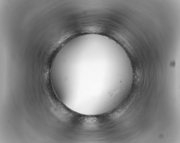 X0000093570355200710291045