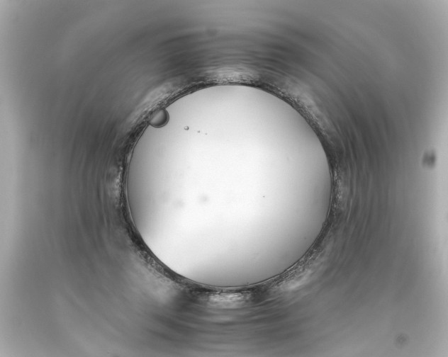 X0000093570357200710291045