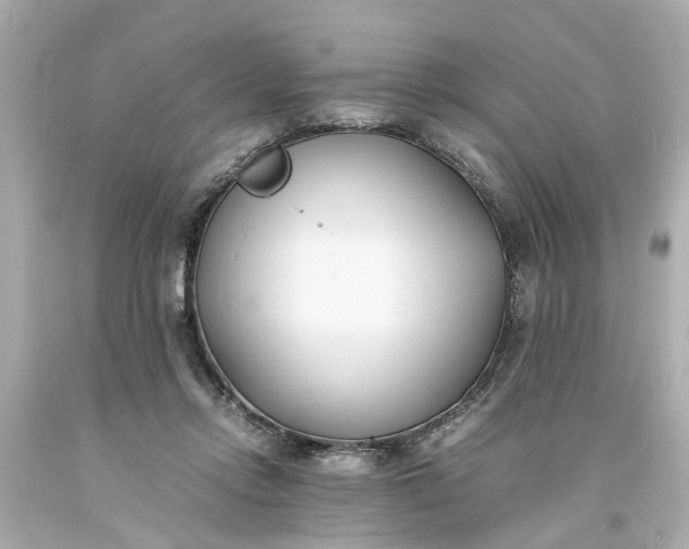 X0000093570358200710291045