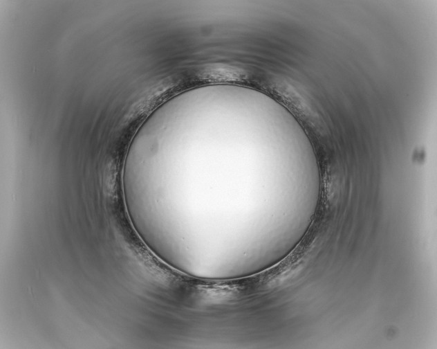 X0000093570359200710291045