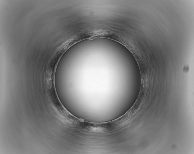X0000093570360200710291045