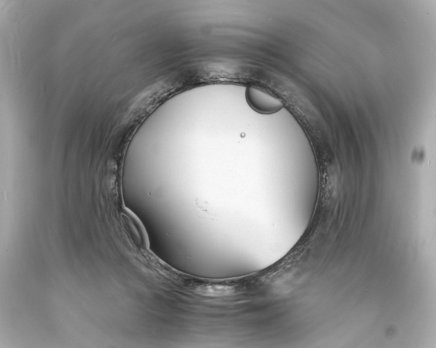 X0000093570361200710291045
