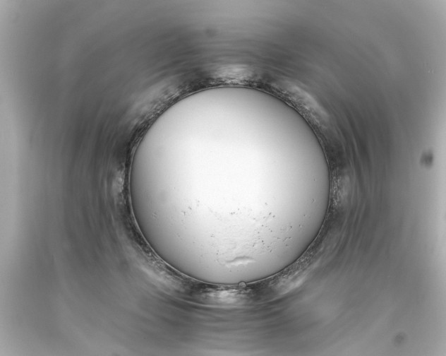 X0000093570365200710291045