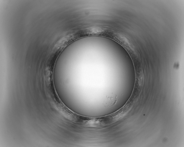 X0000093570366200710291045