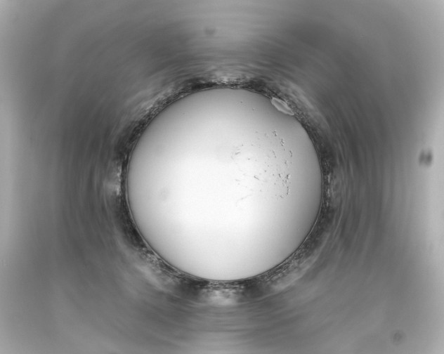 X0000093570368200710291045