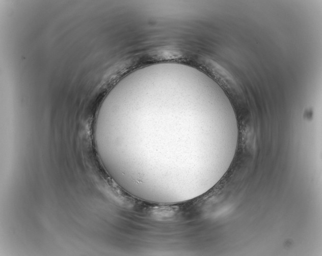 X0000093570373200710291045