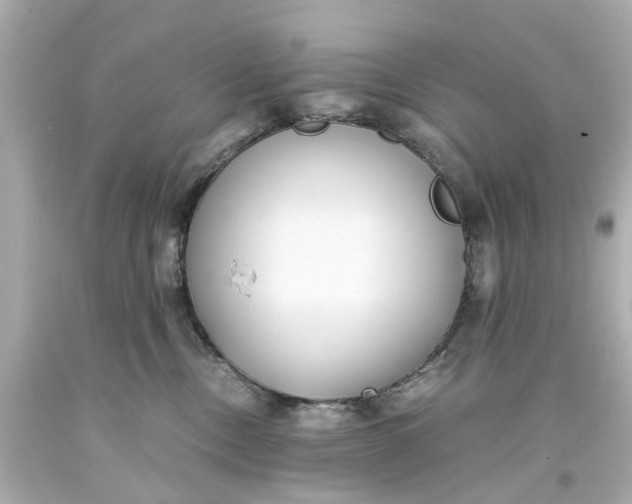 X0000093570378200710291046