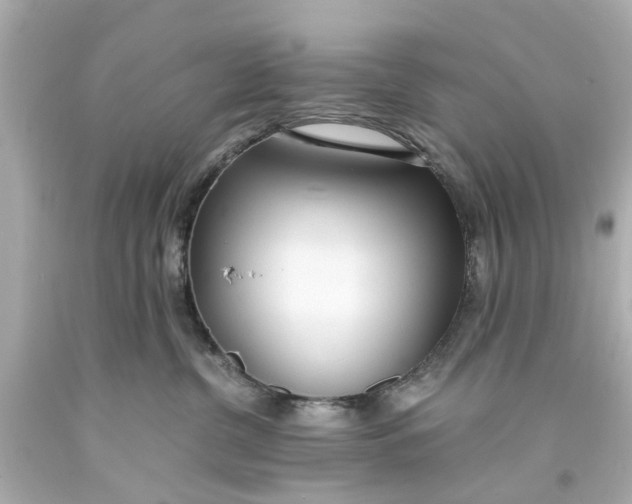 X0000093570380200710291046