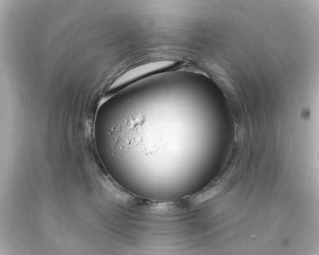 X0000093570382200710291046