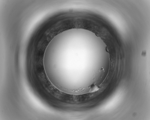 X0000093570383200710291046