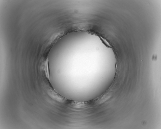 X0000093570384200710291046