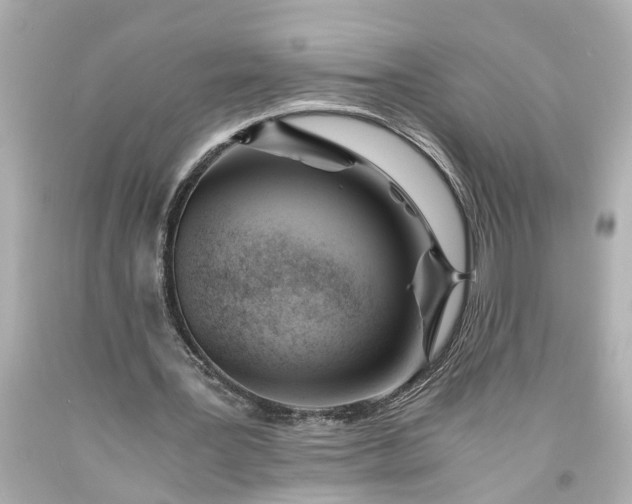 X0000093570387200710291045
