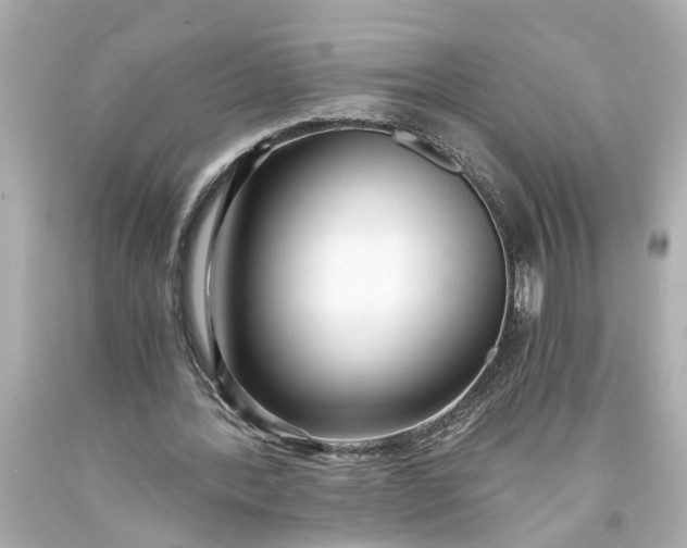 X0000093570388200710291045