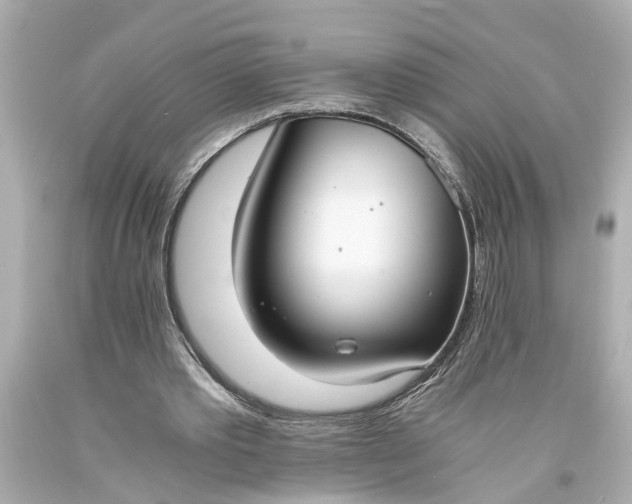 X0000093570389200710291045