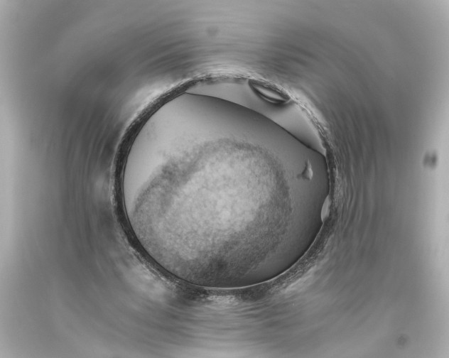 X0000093570391200710291045