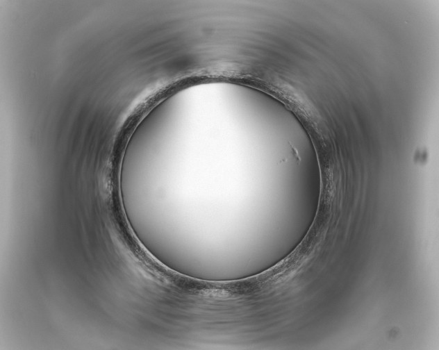X0000093570392200710291045