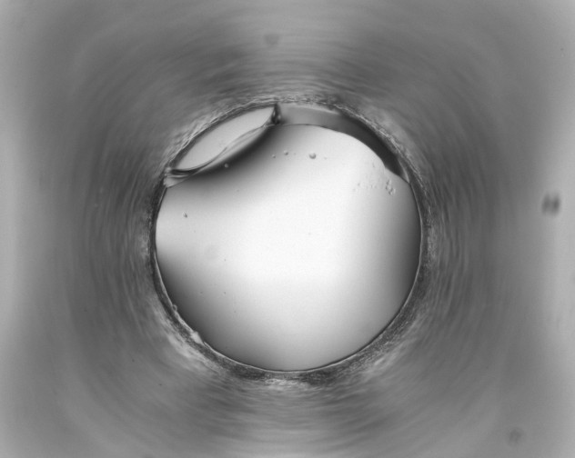 X0000093570393200710291045