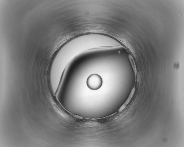 X0000093570397200710291045