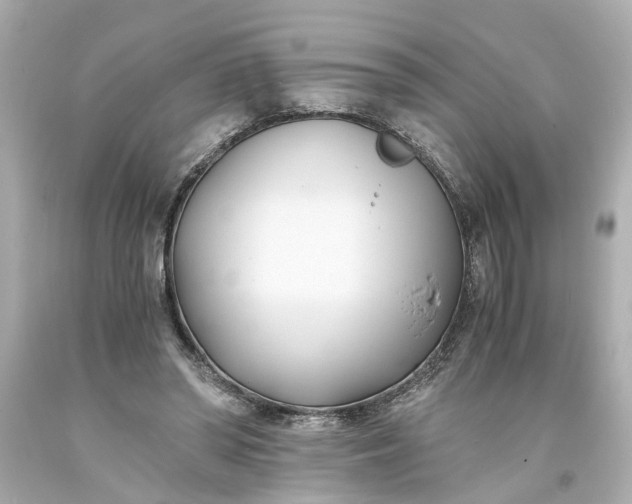 X0000093570398200710291045