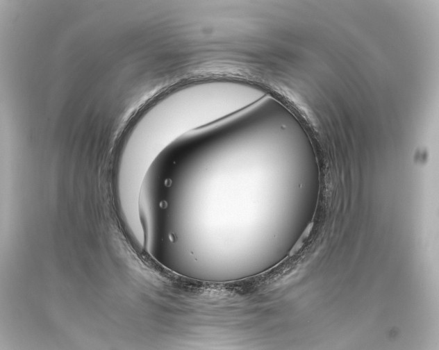 X0000093570399200710291045