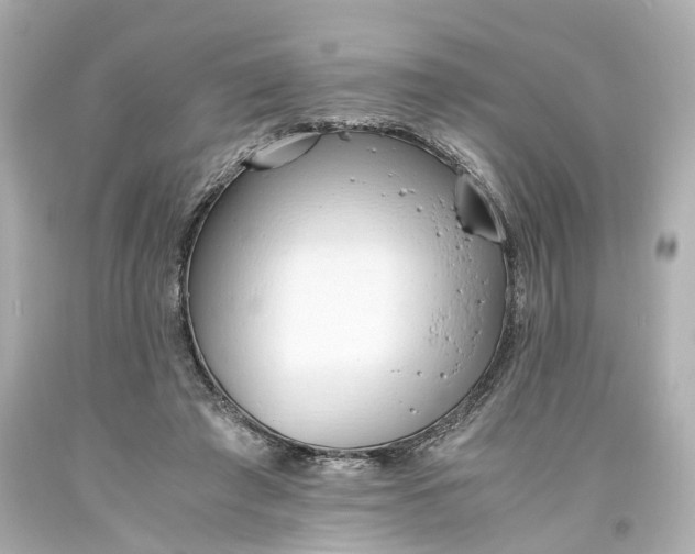 X0000093570401200710291045