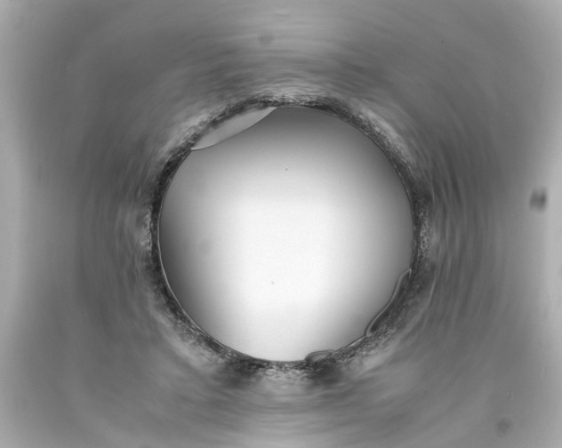 X0000093570403200710291044