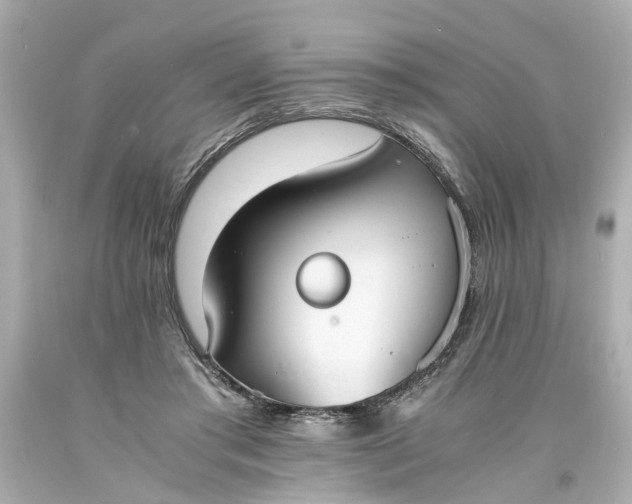 X0000093570405200710291044