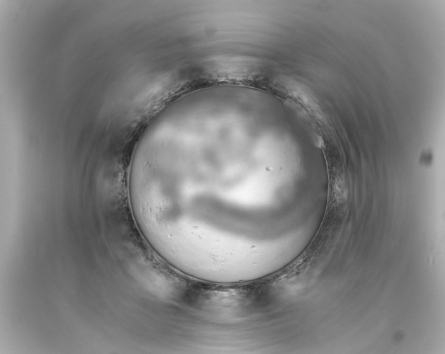X0000093570411200710291044