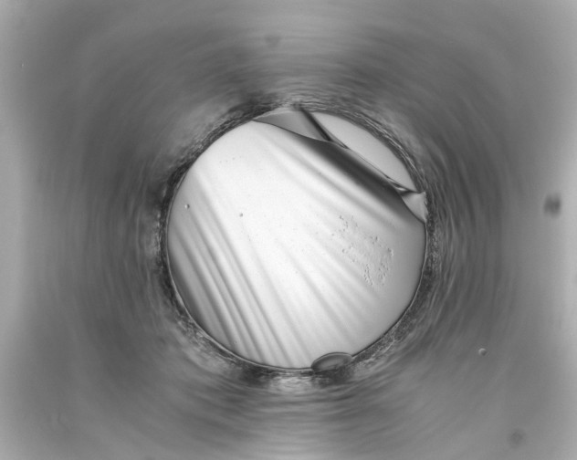 X0000093570413200710291044