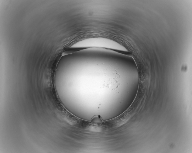 X0000093570416200710291044