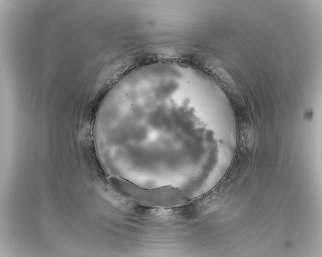 X0000093570419200710291044
