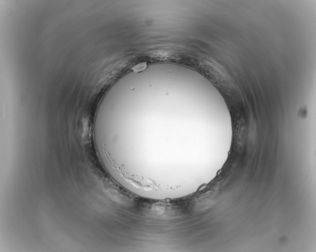 X0000093570420200710291044