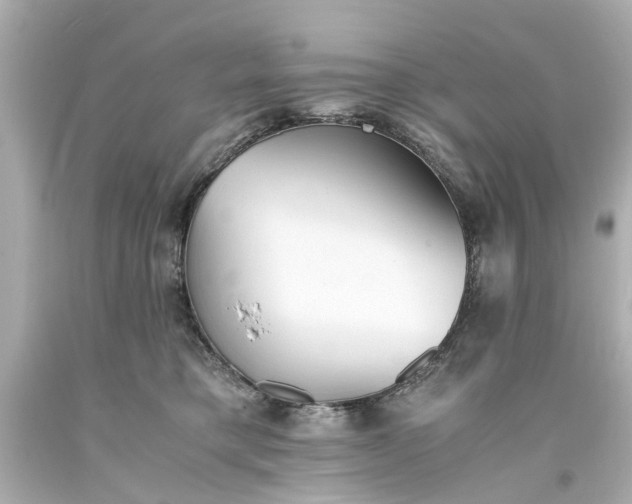 X0000093570421200710291044
